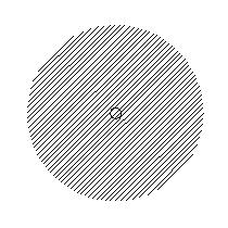 plant043