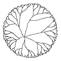 tree-pln083